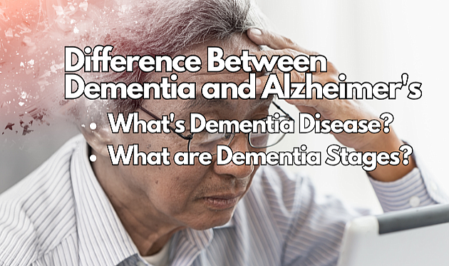 Difference Between Dementia And Alzheimer's