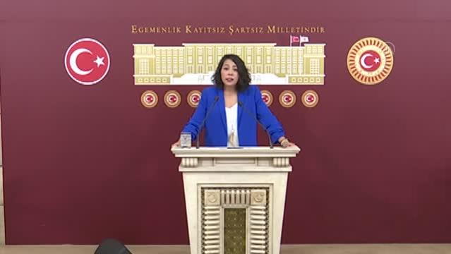 İstanbul Milletvekili Saliha Sera Kadıgil Sütlü, CHP'den ...